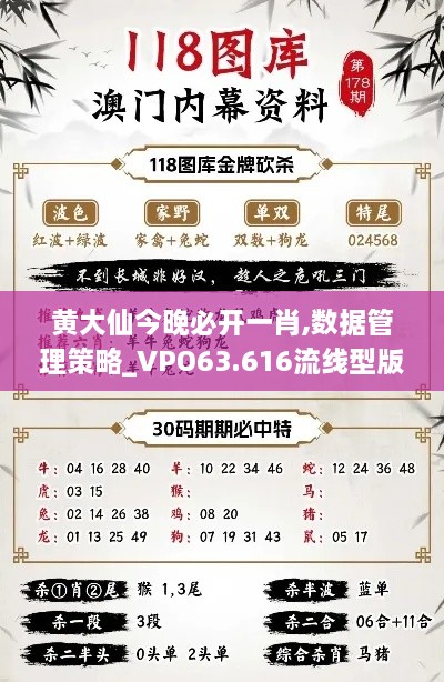 黄大仙今晚必开一肖,数据管理策略_VPO63.616流线型版