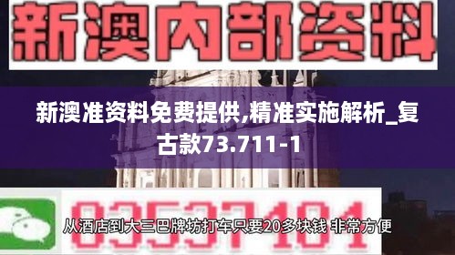 新澳准资料免费提供,精准实施解析_复古款73.711-1