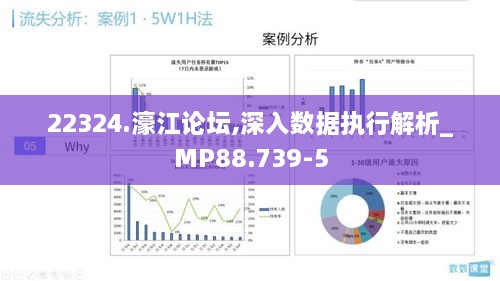 22324.濠江论坛,深入数据执行解析_MP88.739-5