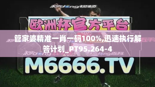 管家婆精准一肖一码100%,迅速执行解答计划_PT95.264-4