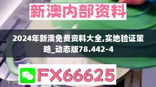 2024年新澳免费资料大全,实地验证策略_动态版78.442-4