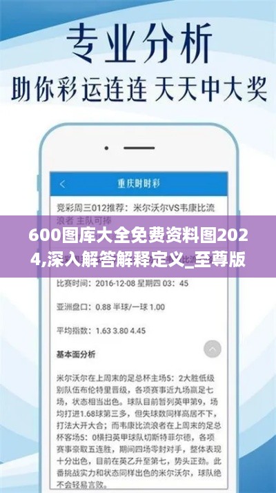 600图库大全免费资料图2024,深入解答解释定义_至尊版78.584-9