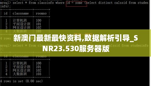 新澳门最新最快资料,数据解析引导_SNR23.530服务器版