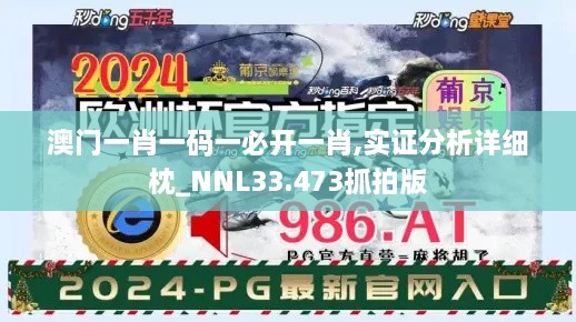 澳门一肖一码一必开一肖,实证分析详细枕_NNL33.473抓拍版