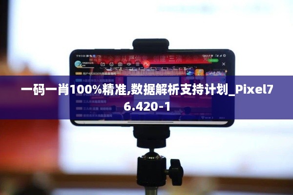 一码一肖100%精准,数据解析支持计划_Pixel76.420-1