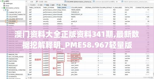 澳门资料大全正版资料341期,最新数据挖解释明_PME58.967轻量版