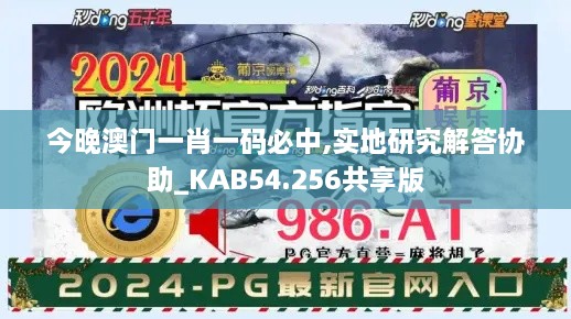 今晚澳门一肖一码必中,实地研究解答协助_KAB54.256共享版