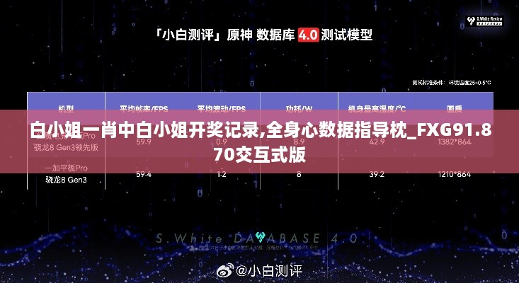 白小姐一肖中白小姐开奖记录,全身心数据指导枕_FXG91.870交互式版