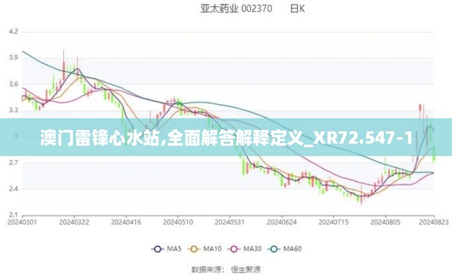 澳门雷锋心水站,全面解答解释定义_XR72.547-1