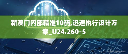 新澳门内部精准10码,迅速执行设计方案_U24.260-5