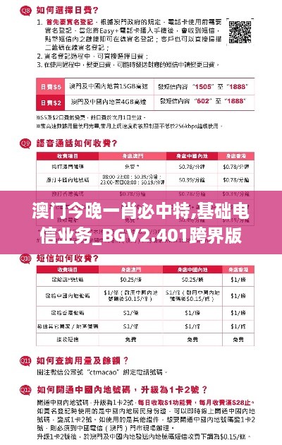 澳门今晚一肖必中特,基础电信业务_BGV2.401跨界版