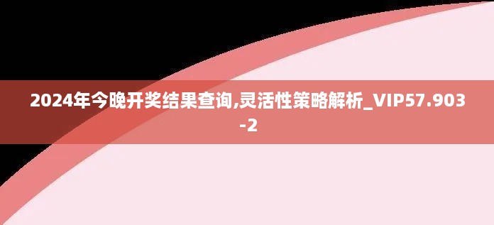 2024年今晚开奖结果查询,灵活性策略解析_VIP57.903-2