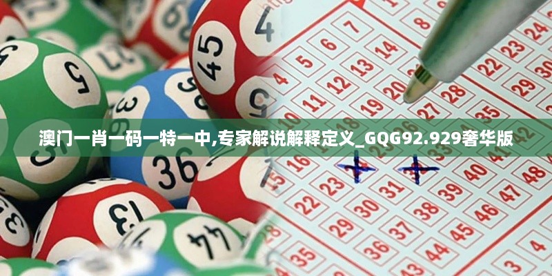 澳门一肖一码一特一中,专家解说解释定义_GQG92.929奢华版