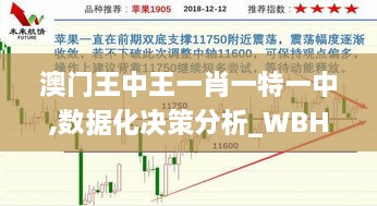 澳门王中王一肖一特一中,数据化决策分析_WBH91.331传递版