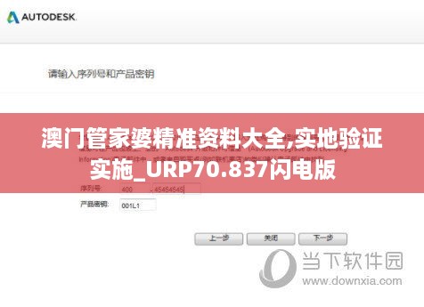 澳门管家婆精准资料大全,实地验证实施_URP70.837闪电版