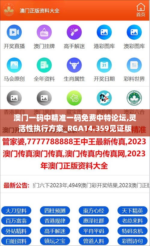 澳门一码中精准一码免费中特论坛,灵活性执行方案_RGA14.359见证版