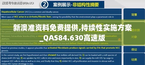 新澳准资料免费提供,持续性实施方案_QAS84.630高速版