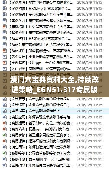 澳门六宝典资料大全,持续改进策略_EGN51.317专属版