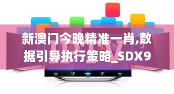 新澳门今晚精准一肖,数据引导执行策略_SDX99.491优雅版