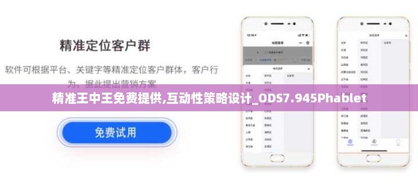 精准王中王免费提供,互动性策略设计_ODS7.945Phablet