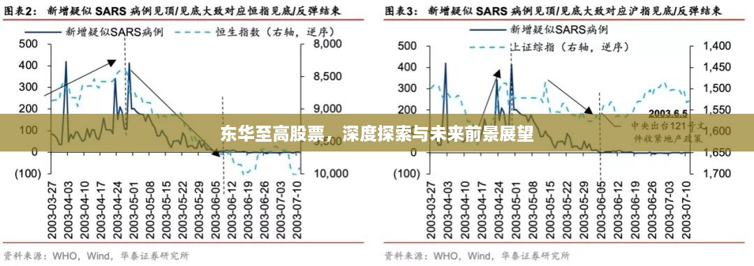 东华至高股票，深度探索与未来前景展望