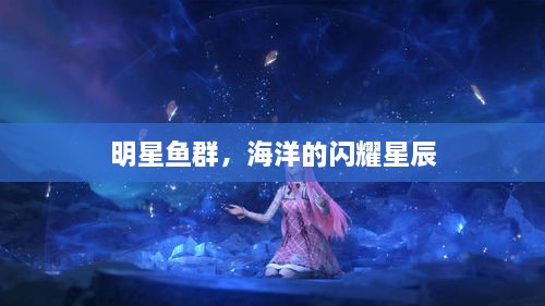 明星鱼群，海洋的闪耀星辰