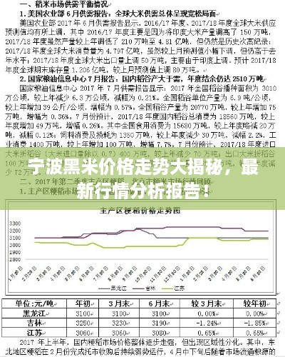 2024年12月 第13页