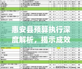 惠安县预算执行深度解析，揭示成效与挑战