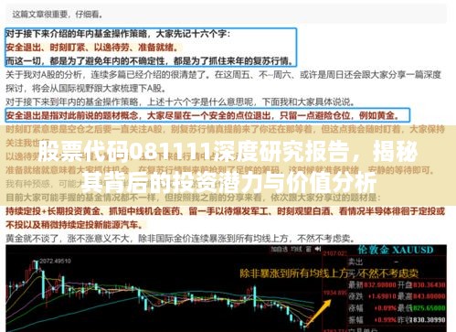 股票代码081111深度研究报告，揭秘其背后的投资潜力与价值分析