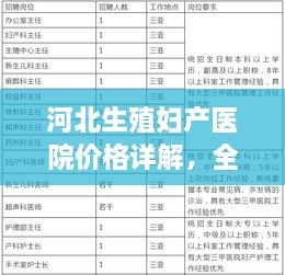 河北生殖妇产医院价格详解，全方位了解医疗费用概况