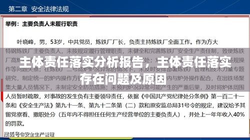 主体责任落实分析报告，主体责任落实存在问题及原因 