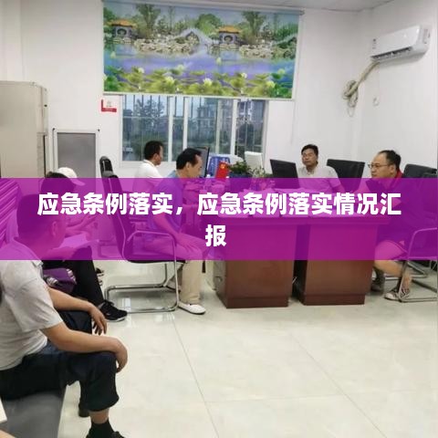 应急条例落实，应急条例落实情况汇报 