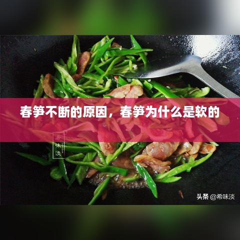 春笋不断的原因，春笋为什么是软的 