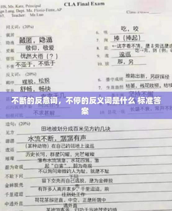 不断的反意词，不停的反义词是什么 标准答案 