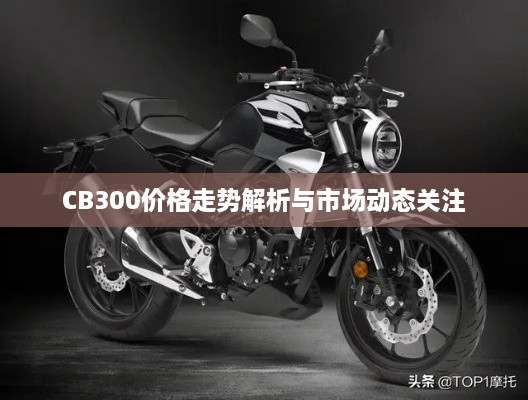 CB300价格走势解析与市场动态关注