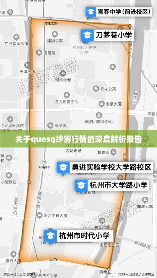 关于quesq纱雾行情的深度解析报告