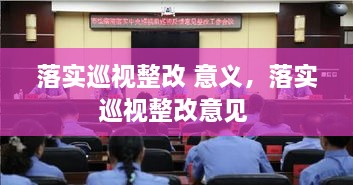 落实巡视整改 意义，落实巡视整改意见 