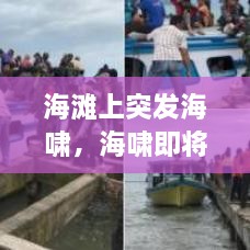 海滩上突发海啸，海啸即将来临时海边出现的现象 