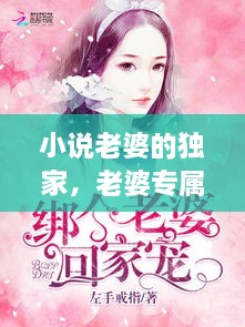 小说老婆的独家，老婆专属小说 