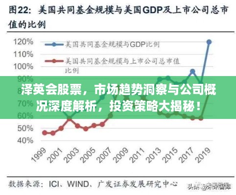 泽英会股票，市场趋势洞察与公司概况深度解析，投资策略大揭秘！