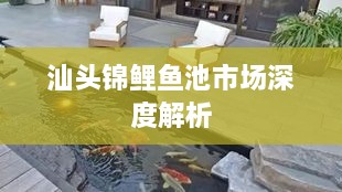 汕头锦鲤鱼池市场深度解析