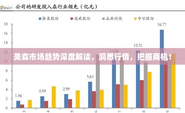 美森市场趋势深度解读，洞悉行情，把握商机！