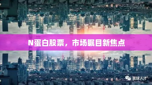 N蛋白股票，市场瞩目新焦点