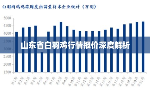 山东省白羽鸡行情报价深度解析