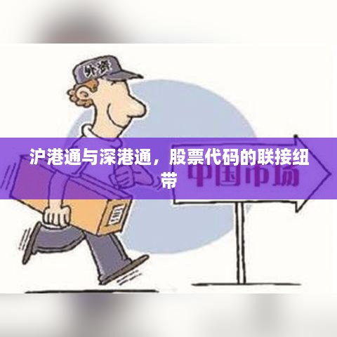 沪港通与深港通，股票代码的联接纽带