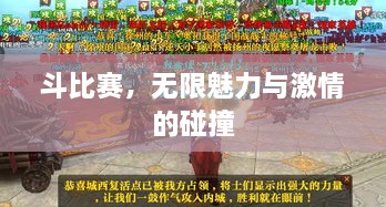 斗比赛，无限魅力与激情的碰撞