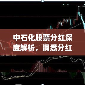 中石化股票分红深度解析，洞悉分红细节与趋势预测