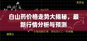 白山药价格走势大揭秘，最新行情分析与预测