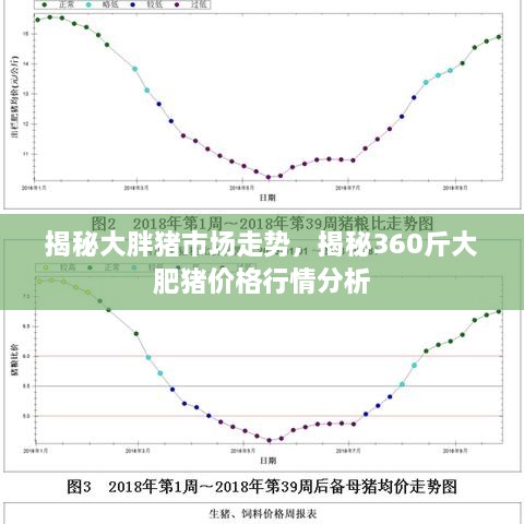 揭秘大胖猪市场走势，揭秘360斤大肥猪价格行情分析