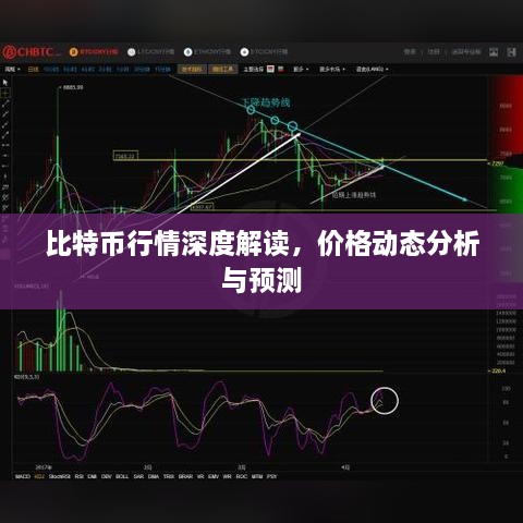 比特币行情深度解读，价格动态分析与预测